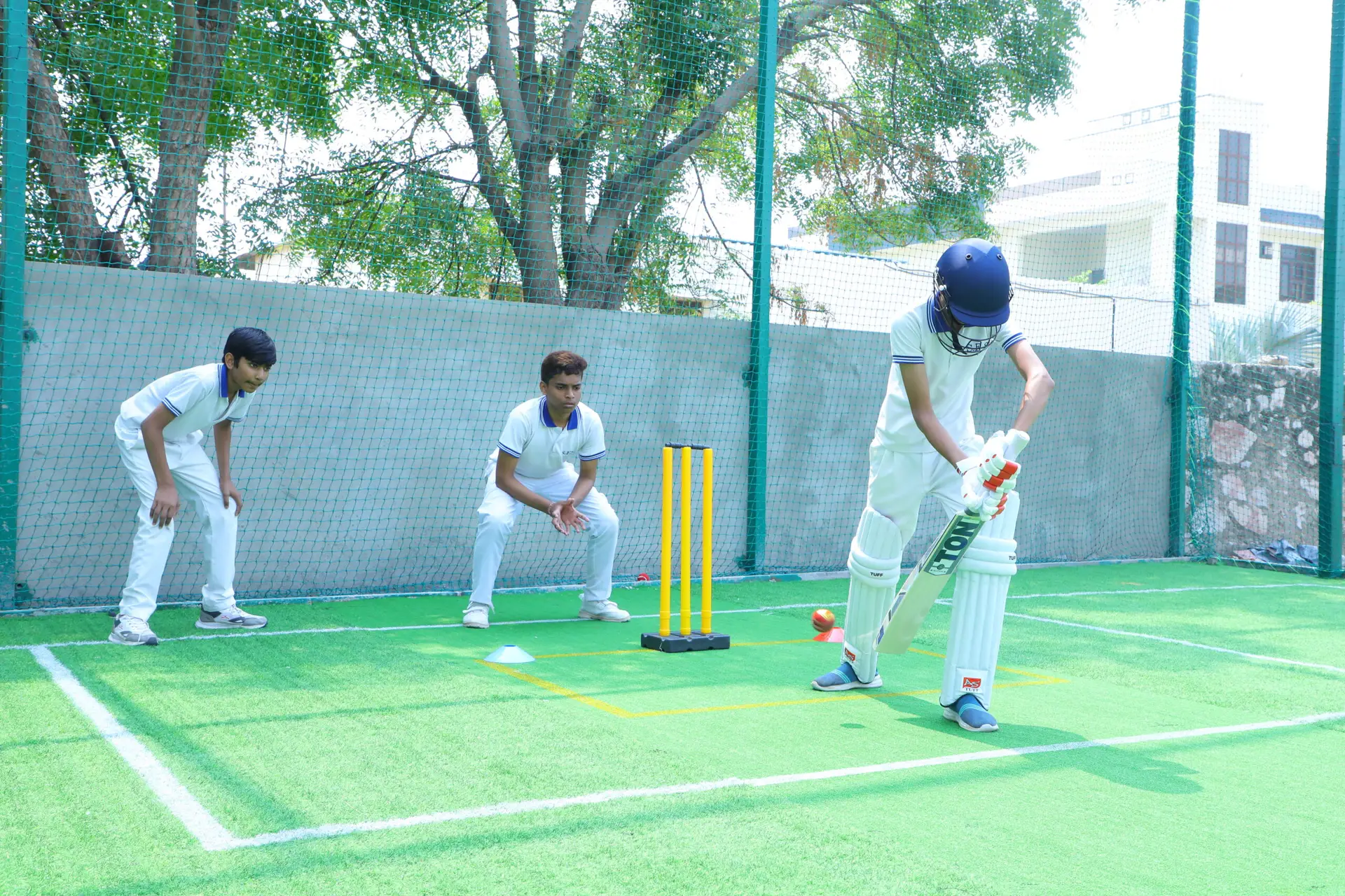 Cricket